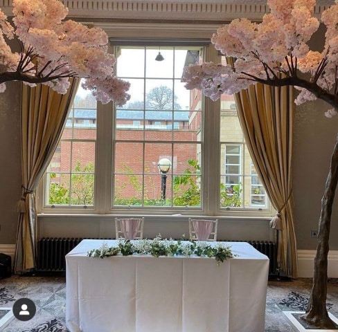 Blossom Canopy Trees Hire