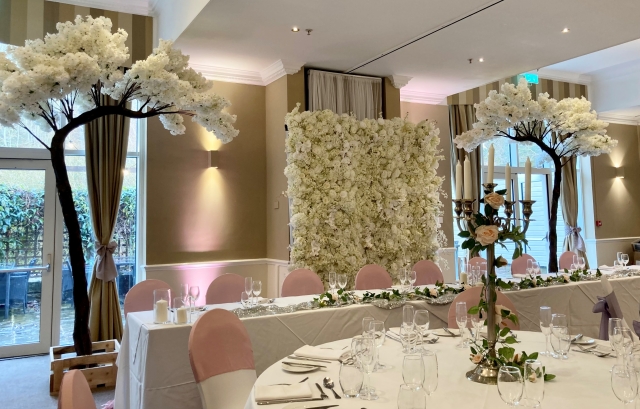 Blossom Canopy Trees Hire