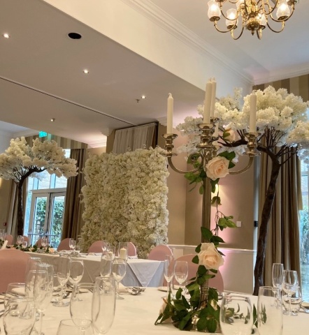 Blossom Canopy Trees Hire