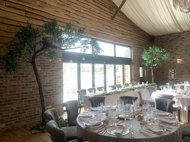 Blossom Canopy Trees Hire