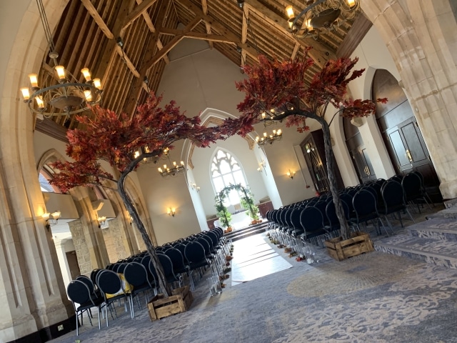Blossom Canopy Trees Hire