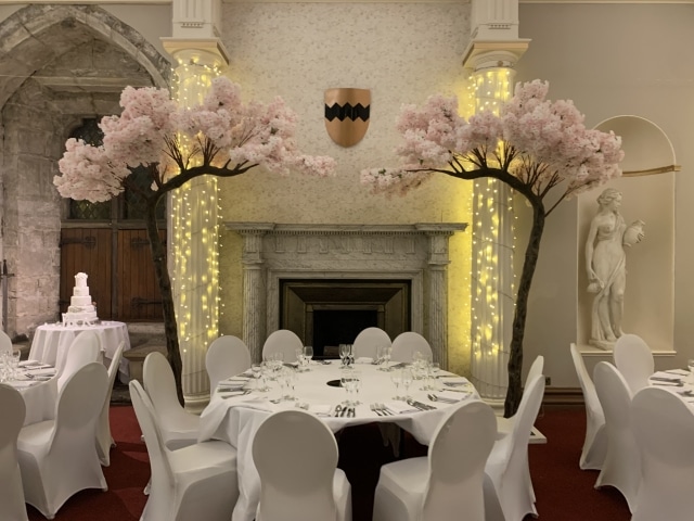 Blossom Canopy Trees Hire