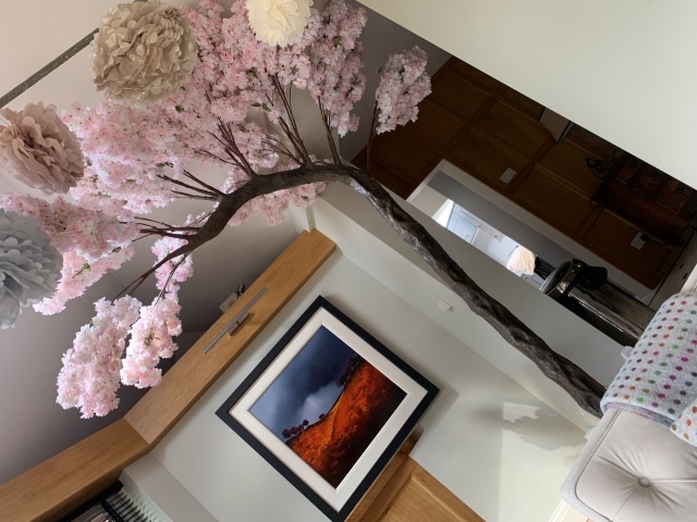 Blossom Canopy Trees Hire