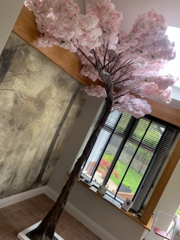 Blossom Canopy Trees Hire