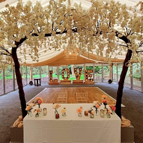 Blossom Canopy Trees Hire