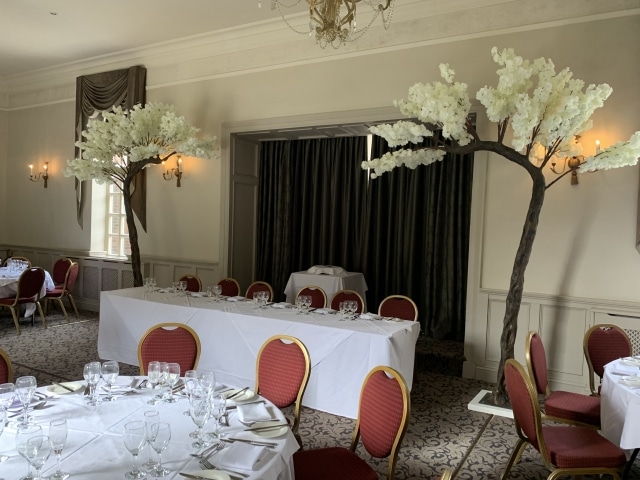 Blossom Canopy Trees Hire