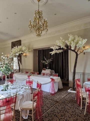 Blossom Canopy Trees Hire