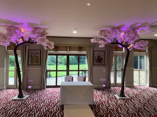 Blossom Canopy Trees Hire