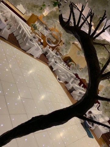 Blossom Canopy Trees Hire