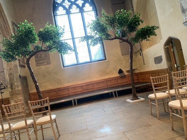 Blossom Canopy Trees Hire
