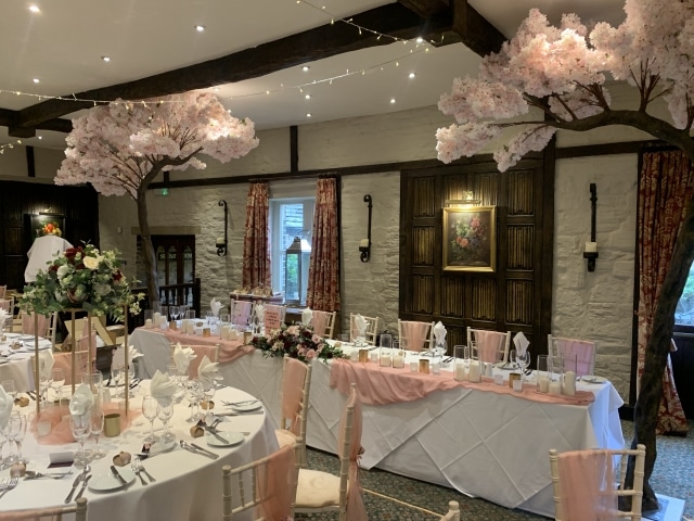 Blossom Canopy Trees Hire