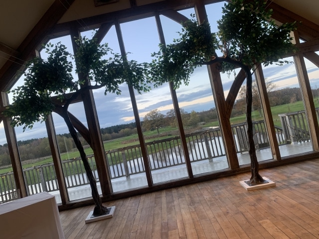 Blossom Canopy Trees Hire