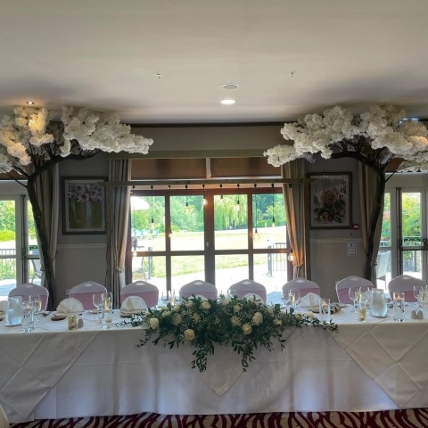 Blossom Canopy Trees Hire