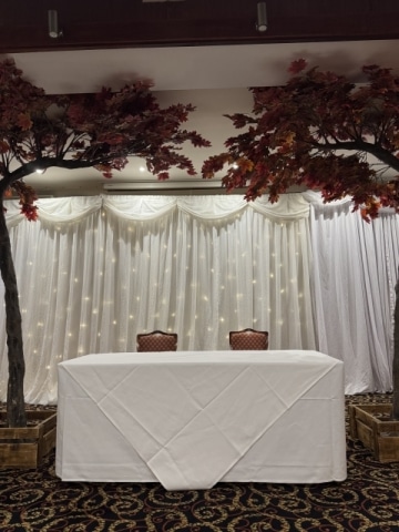Blossom Canopy Trees Hire