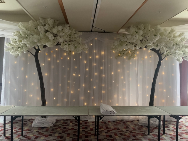 Blossom Canopy Trees Hire