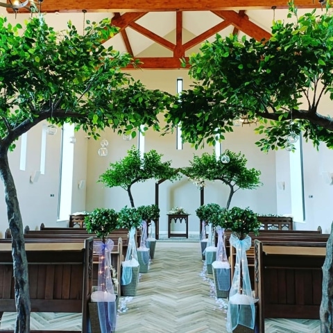 Blossom Canopy Trees Hire