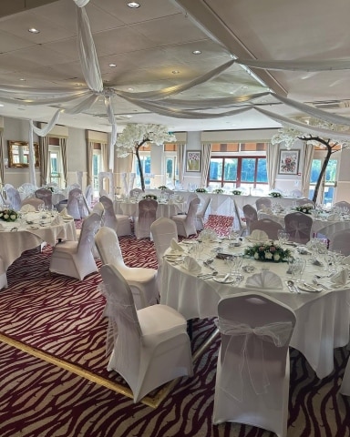 Blossom Canopy Trees Hire