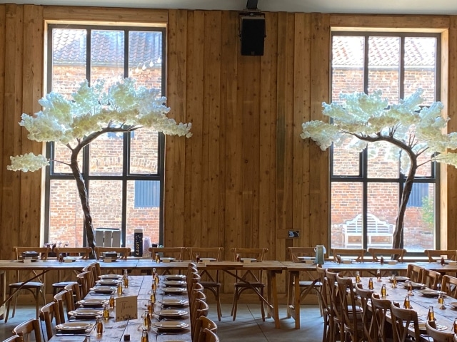 Blossom Canopy Trees Hire