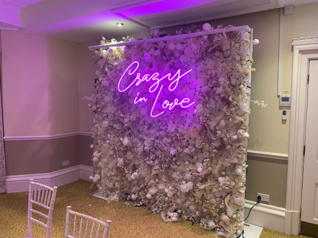 Deluxe Nude Flower Wall Backdrop