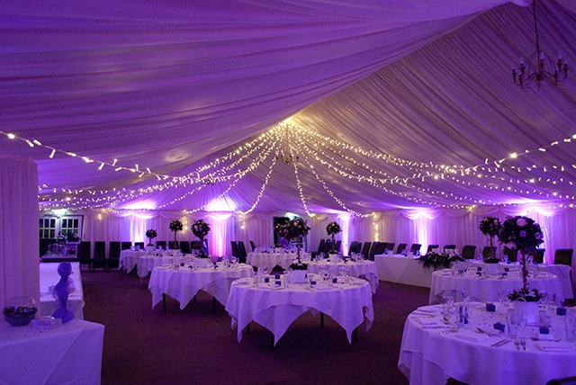 Fairy Lights