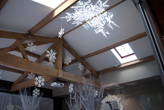 Snow Flake Projection