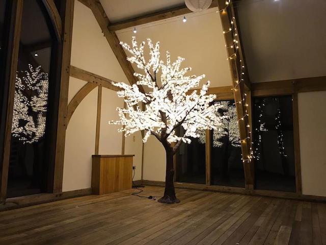 LED Tree Hire