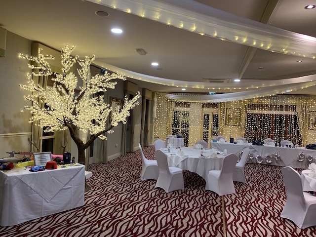 LED Tree Hire