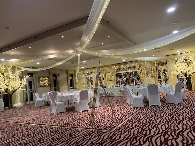LED Tree Hire