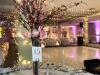 Majestic Hotel - Wedding