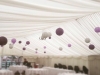 Marquee - Wedding