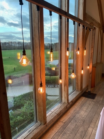 Rustic Frame With Hanging Edison Bulbs Backdrop