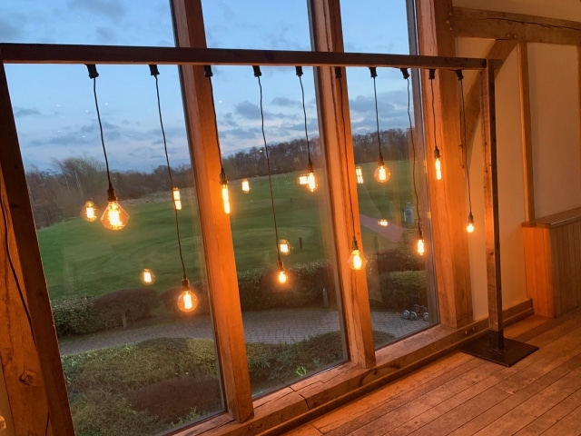 Rustic Frame With Hanging Edison Bulbs Backdrop