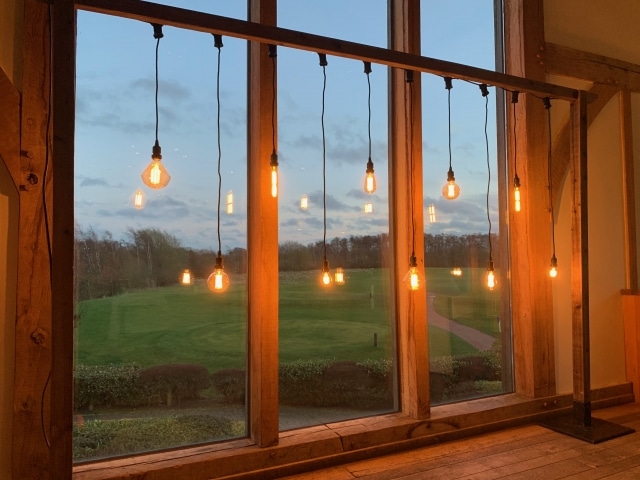 Rustic Frame With Hanging Edison Bulbs Backdrop
