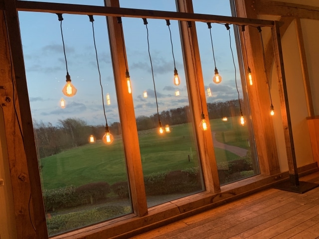 Rustic Frame With Hanging Edison Bulbs Backdrop