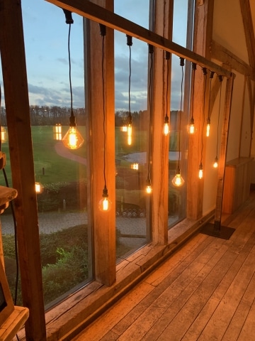 Rustic Frame With Hanging Edison Bulbs Backdrop