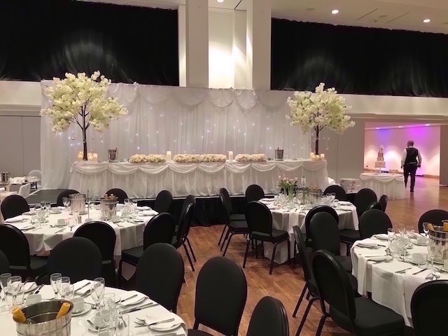 Starlight Backdrop Hire - Twinkle Backdrop Hire