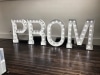 The Venue - Prom