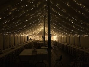 Fairy Lights