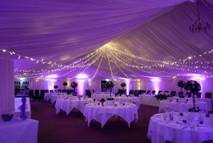 Christmas Fairy Light Canopy