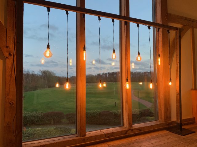 Rustic Frame With Hanging Edison Bulbs Backdrop