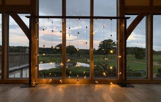 Festoon Backdrop