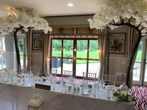 Ivory Cherry Blossom Canopy Trees