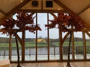 Autumn Canopy Trees
