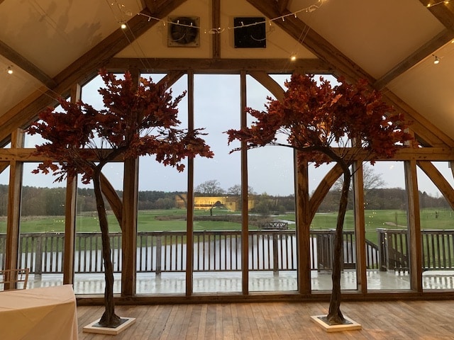 Sandburn Hall Autumn Leaf Canopy Trees
