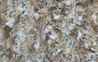 Deluxe Nude Flower Wall Backdrop