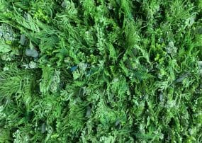 Faux Living Wall