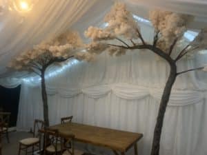 Peach Canopy Trees